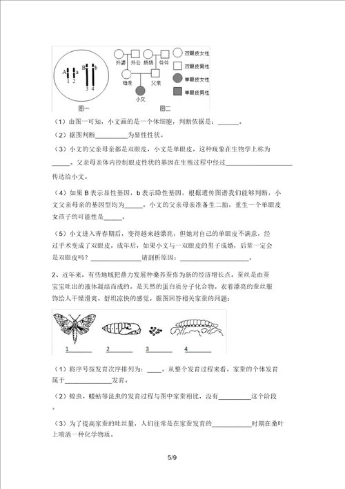 2021年北师大版九年级生物上册期末测试卷A4版