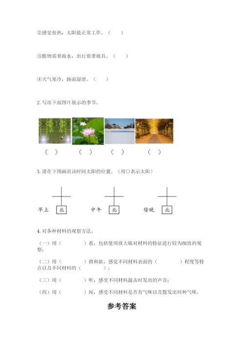 教科版科学二年级上册期末考试试卷（基础题）.docx