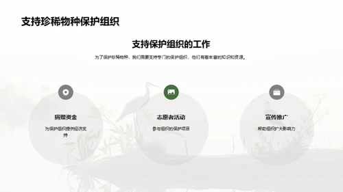 共同关爱地球，保护珍稀物种