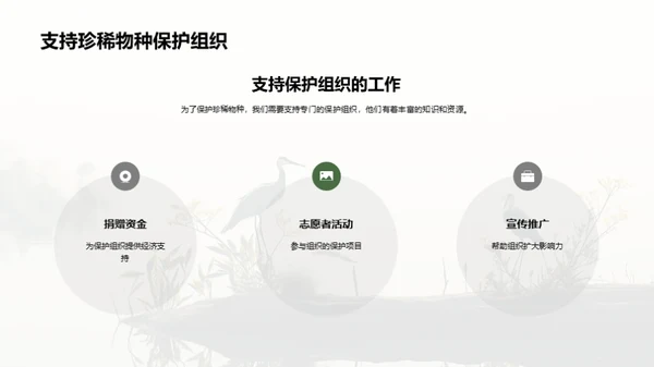 共同关爱地球，保护珍稀物种