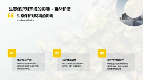 绿色发展新篇章