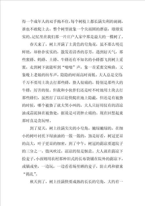 高中写景状物散文3篇