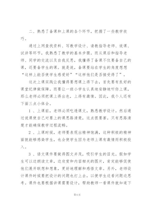 语文教师实习总结集锦15篇.docx