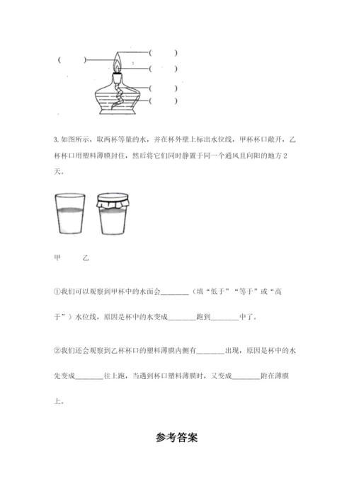 教科版三年级上册科学期末测试卷学生专用.docx