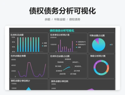 债权债务分析可视化
