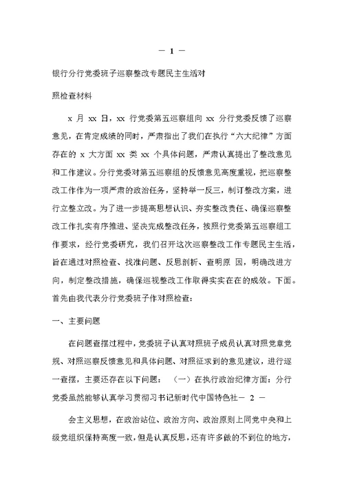 银行分行党委班子巡察整改专题民主生活对照检查材料