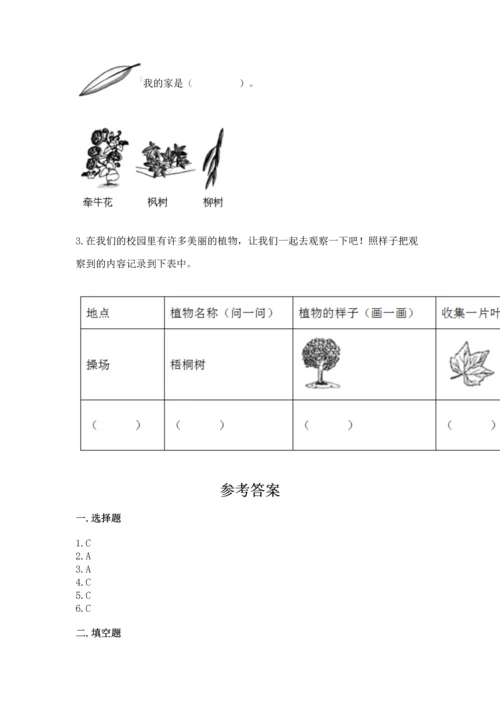 教科版科学一年级上册第一单元《植物》测试卷及参考答案【模拟题】.docx