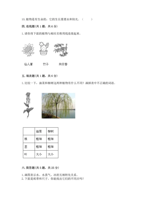 教科版一年级上册科学期末测试卷附答案【培优b卷】.docx