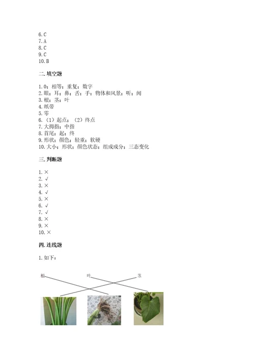 教科版一年级上册科学期末测试卷（突破训练）