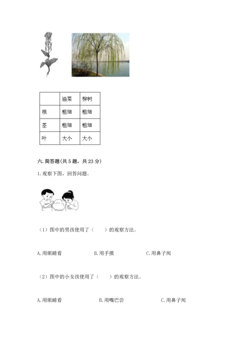 教科版科学一年级上册期末测试卷（综合题）.docx