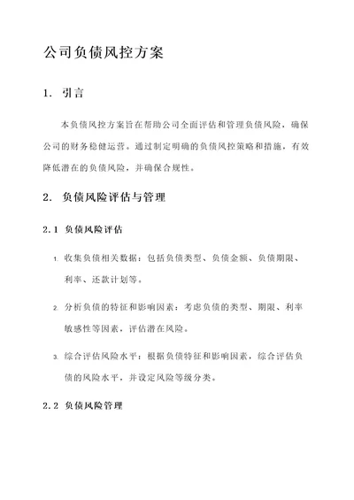 公司负债风控方案