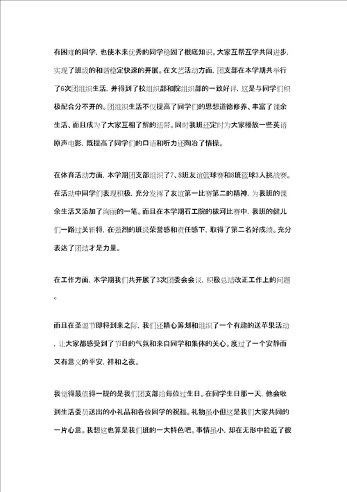 团支书工作总结报告