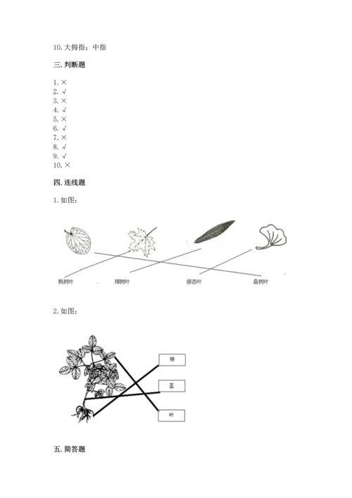 教科版一年级上册科学期末测试卷含下载答案.docx