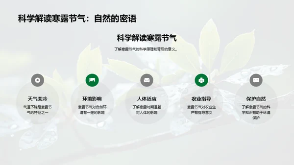 深度解析寒露节气