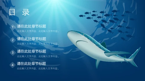 6月8日世界海洋日保护鲨鱼通用PPT模板