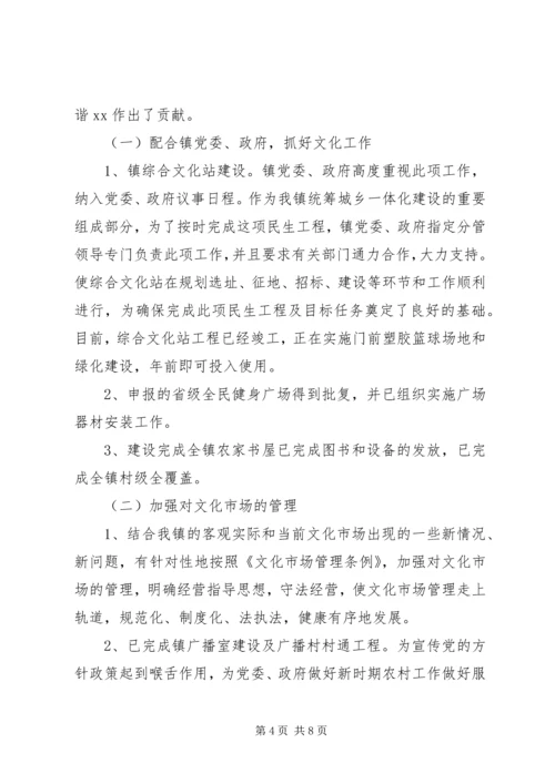 乡镇文化工作个人总结.docx