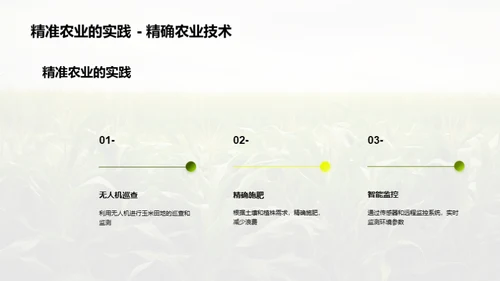 科技改变玉米种植