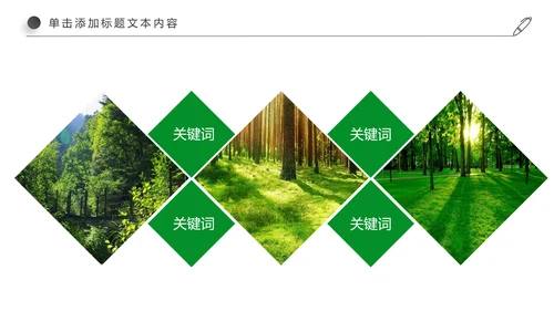 绿色环保教育世界湿地森林日PPT动态模板