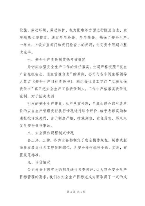 安全生产目标效果评估报告.docx