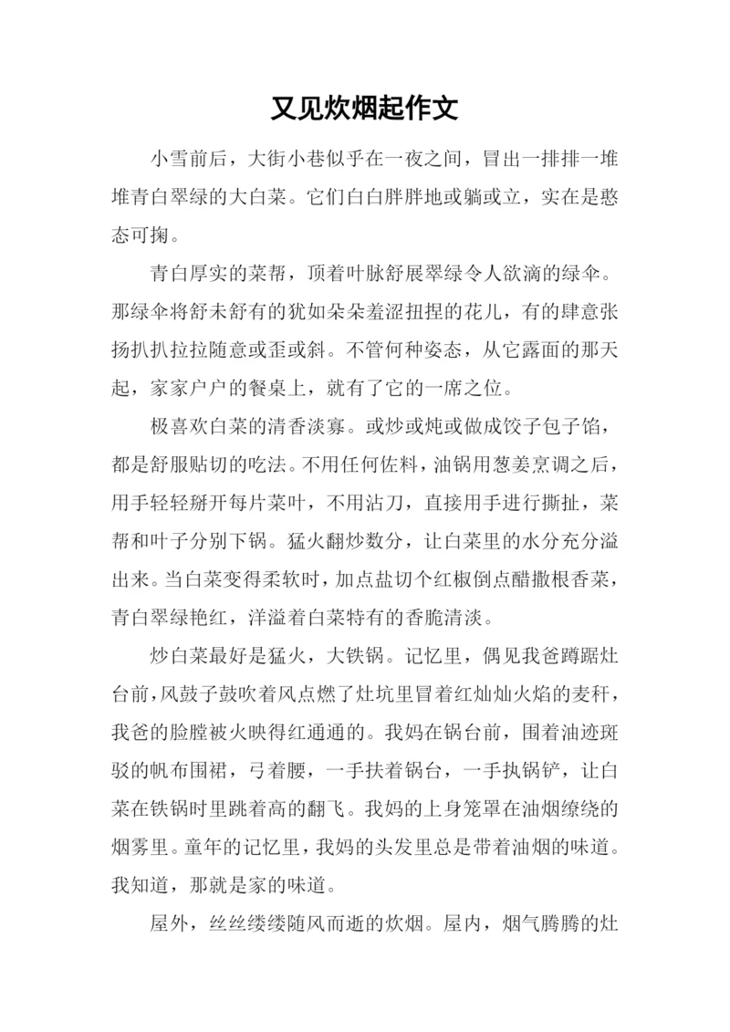 又见炊烟起作文.docx
