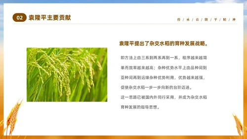 黄色实拍稻穗522纪念杂交水稻之父袁隆平主题班会PPT纪念袁隆平
