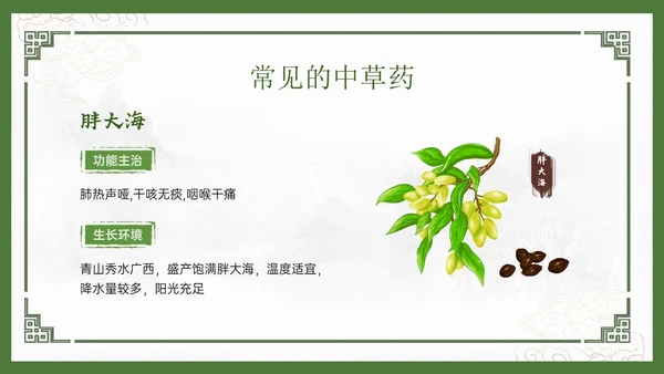 绿色中国风古风神奇中草药主题班会PPT模板中医药