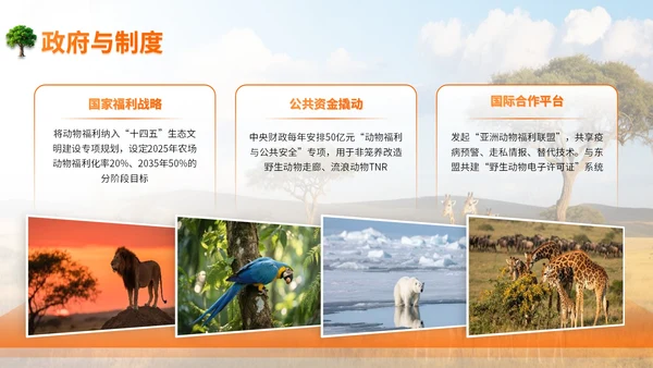 橙色世界动物日志愿者科普PPT模板
