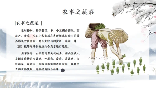 小寒时节冬季雪景通用PPT模版