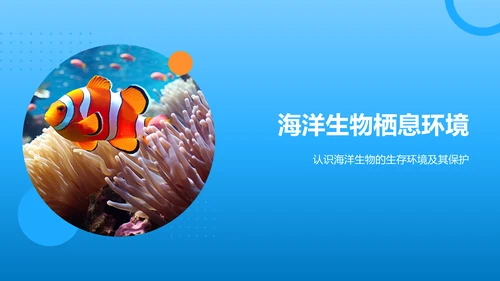 蓝色摄影风海洋生物知识科普PPT模板