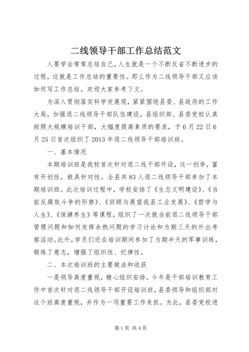 二线领导干部工作总结范文.docx