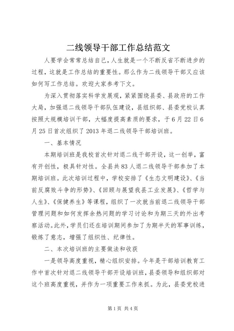 二线领导干部工作总结范文.docx