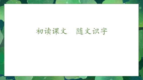 【核心素养】部编版语文一年级下册-12. 荷叶圆圆 第1课时（课件）