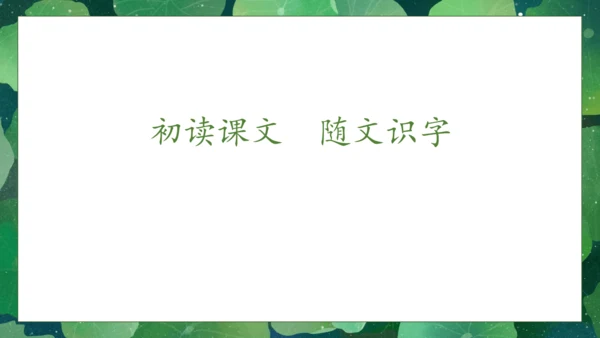 【核心素养】部编版语文一年级下册-12. 荷叶圆圆 第1课时（课件）