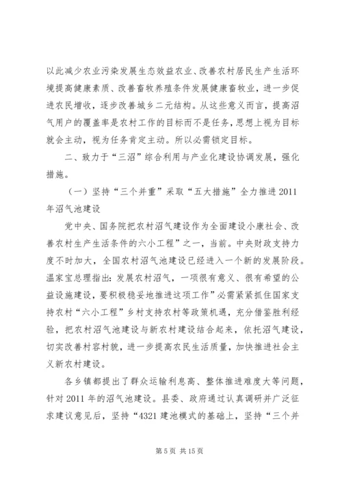 副县长在沼畜工作会发言稿_1.docx