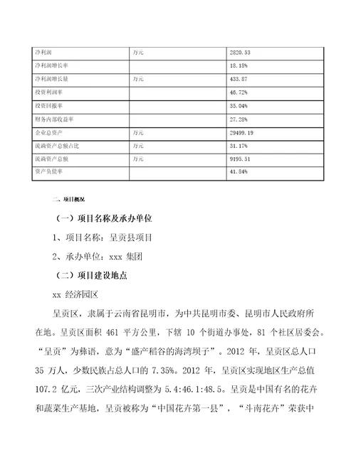 呈贡县项目可行性研究报告立项模板