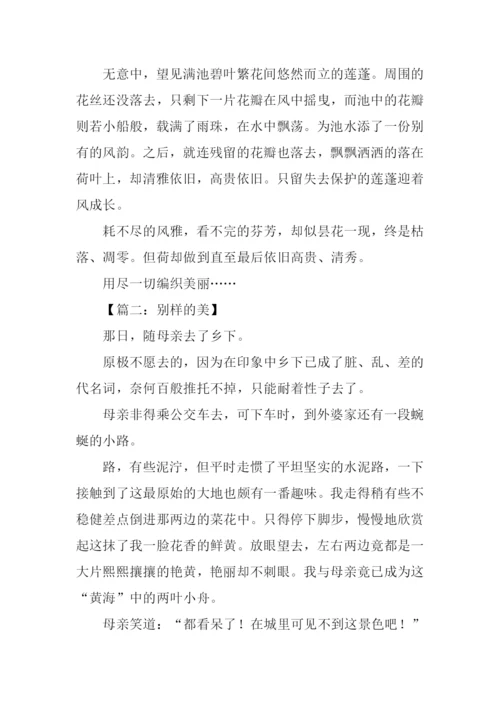 别样的美作文.docx