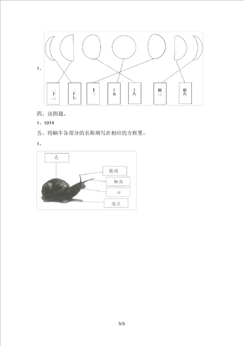 最新教科版一年级科学上册期末考试附答案