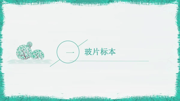 人教版（2024）七年级上册1.2.2 植物细胞 课件(共19张PPT)