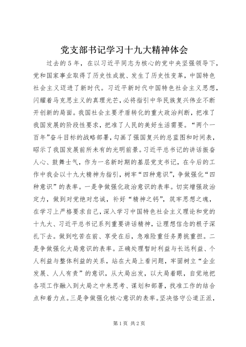 党支部书记学习十九大精神体会.docx