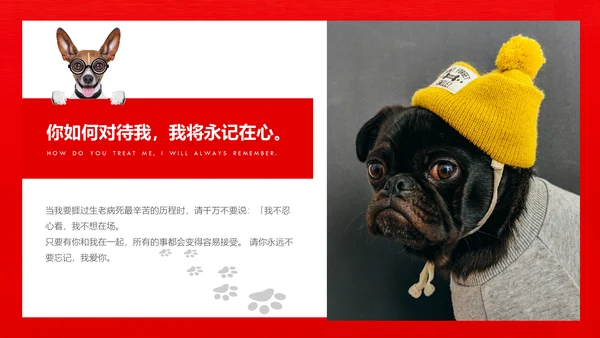 丑萌的小狗狗宠物通用PPT模板