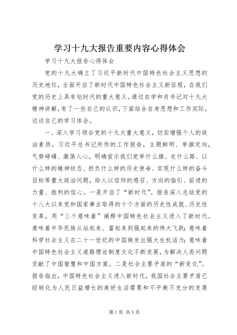 学习十九大报告重要内容心得体会 (4).docx