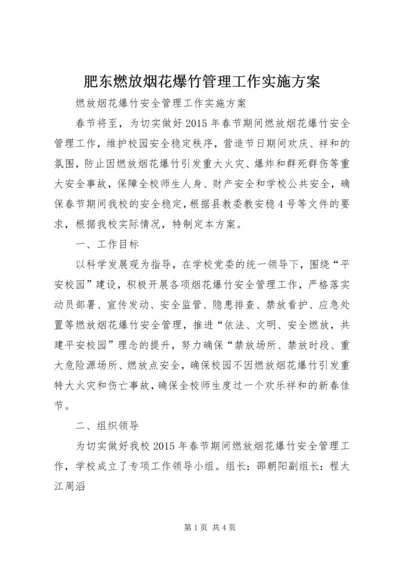 肥东燃放烟花爆竹管理工作实施方案 (5).docx