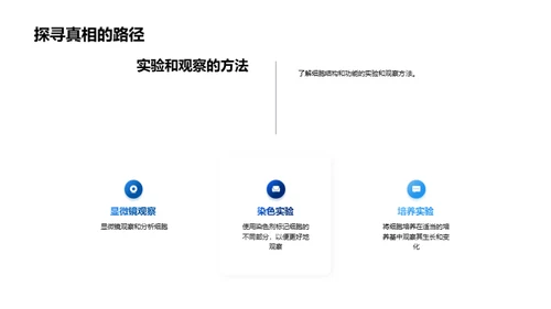 3D风生物医疗教学课件PPT模板