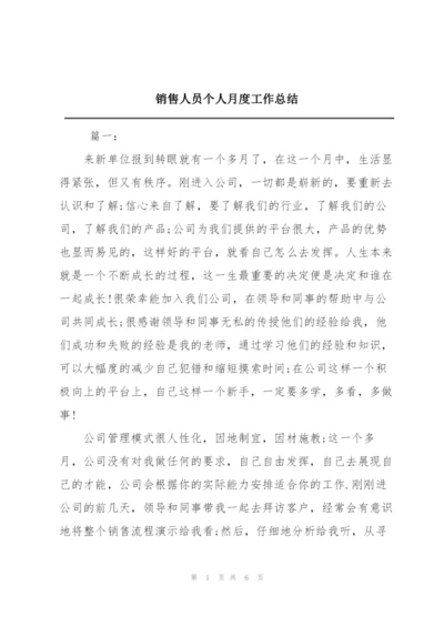 销售人员个人月度工作总结.docx