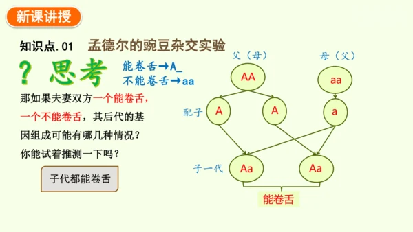 7.2.3基因的显性和隐性-八年级生物人教版下学期同步精品课件(共36张PPT)