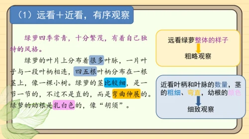 统编版语文三年级下册2024-2025学年度第一单元习作：我的植物朋友（课件）