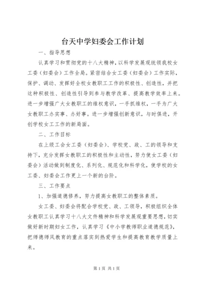 台天中学妇委会工作计划.docx