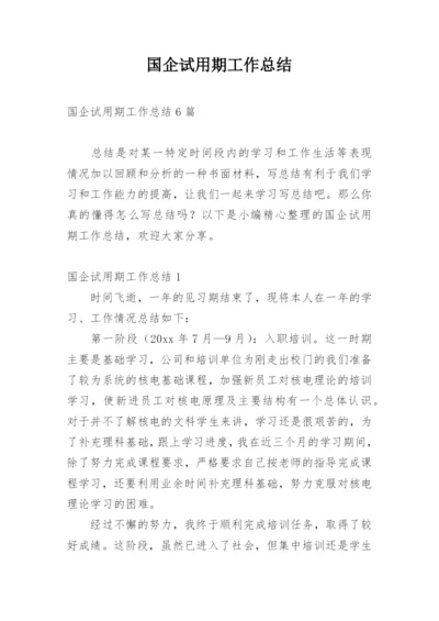 国企试用期工作总结.docx