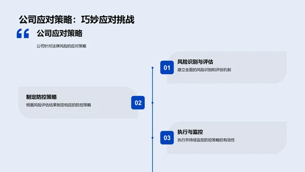 法律风险年度报告PPT模板