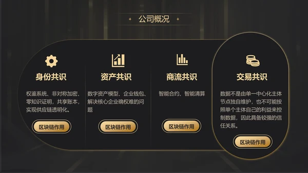 黑金质感项目战略商业计划书通用PPT模板
